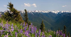 American Pacific Northwest Photograph